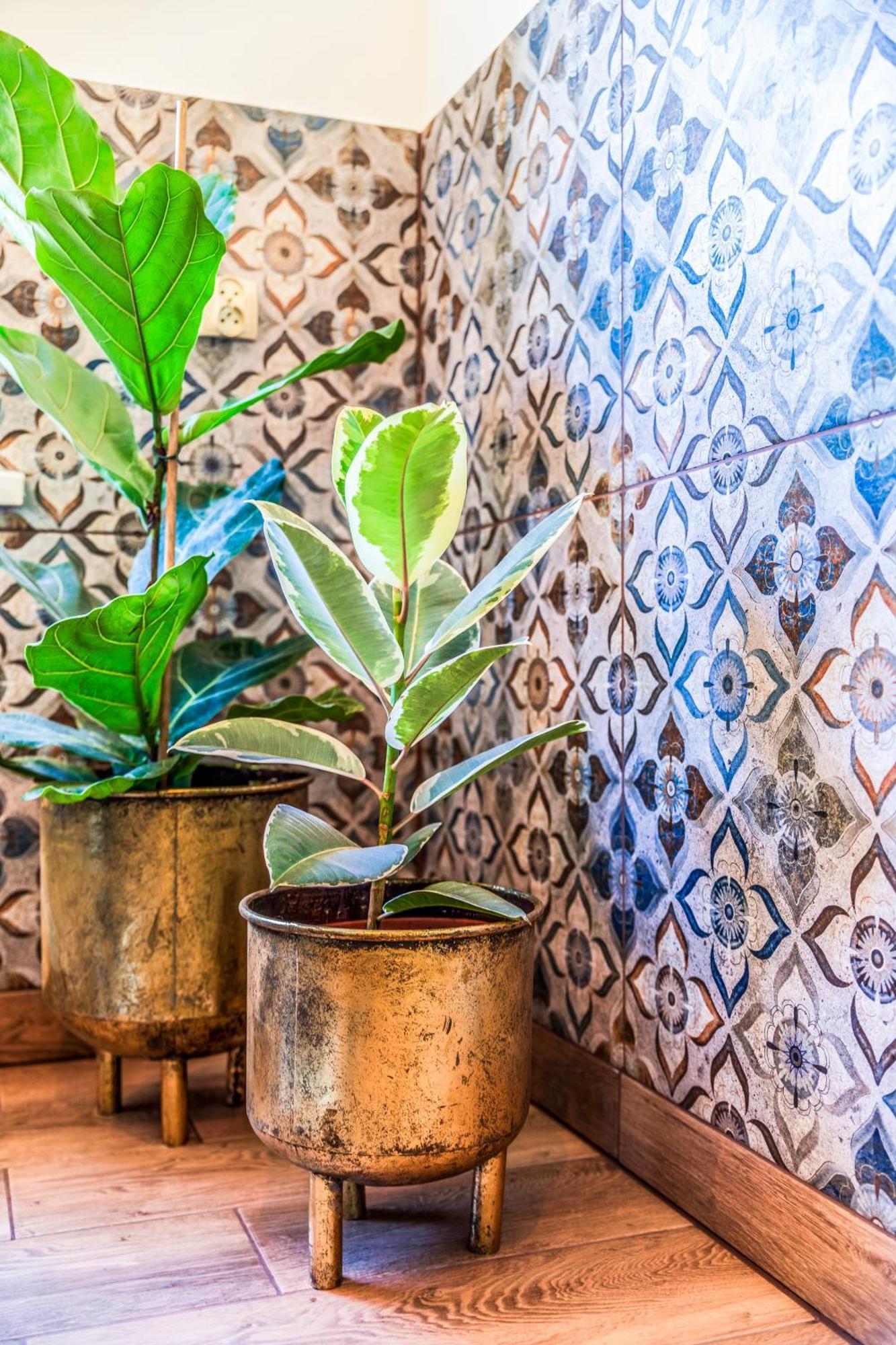 Pokoje U Marioli Wisla Ngoại thất bức ảnh